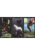 Tarot of the Celtic Fairies, Tarot Celtyckich Wr�ek